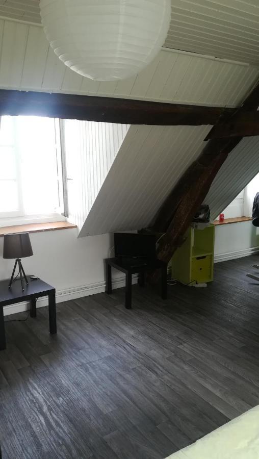 Appartement Spacieux Vue Sur Loire Proche Du Centre Blois Exterior foto