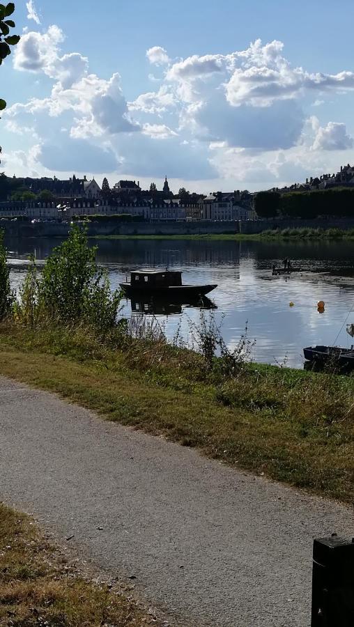 Appartement Spacieux Vue Sur Loire Proche Du Centre Blois Exterior foto