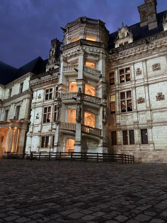 Appartement Spacieux Vue Sur Loire Proche Du Centre Blois Exterior foto