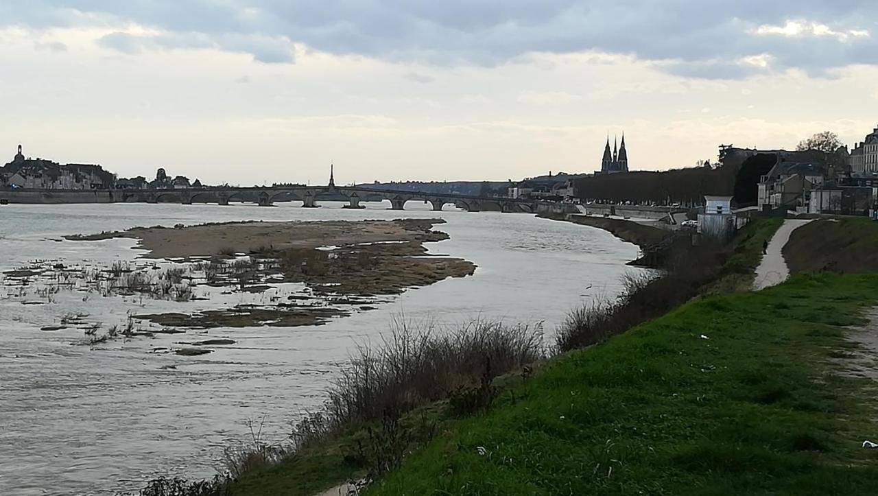 Appartement Spacieux Vue Sur Loire Proche Du Centre Blois Exterior foto